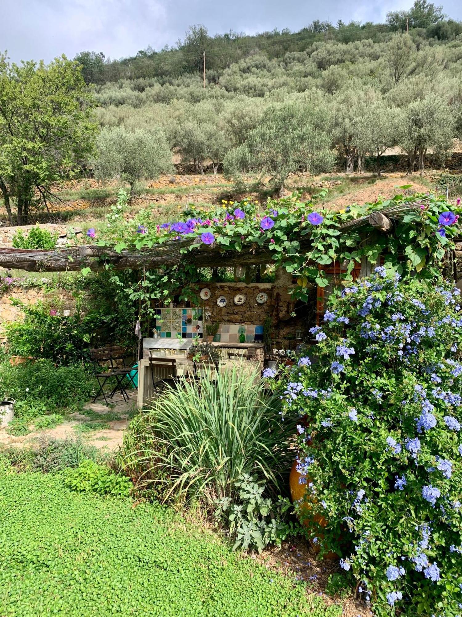 B&B Ca De Badin Ноли Экстерьер фото