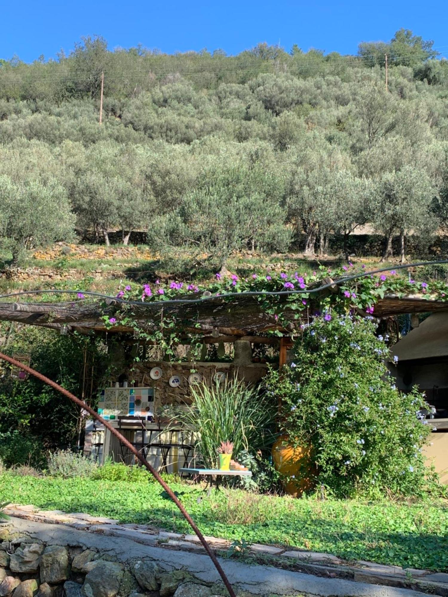 B&B Ca De Badin Ноли Экстерьер фото
